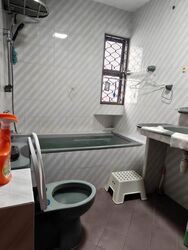 Jalan Rimau (D14), Semi-Detached #637112041